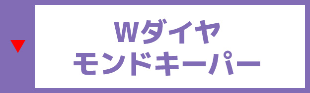 Ｗダイヤモンドキーパー