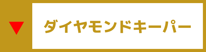 ダイヤモンドキーパー