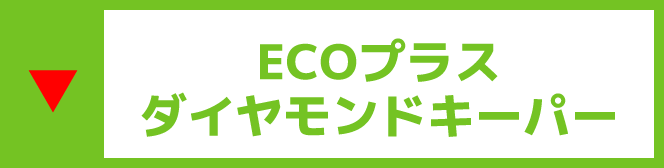 ECO プラスダイヤモンドキーパー