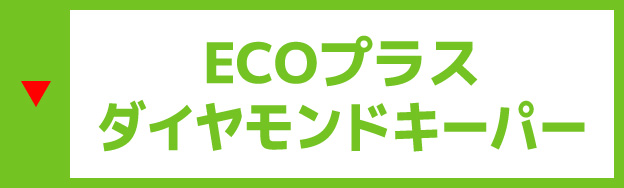 ECO プラスダイヤモンドキーパー